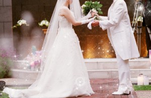 8b88c399ecab3d6b778172a6864183b0_t