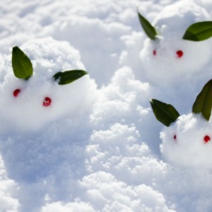 8dccc6b92f070fcba782a2201c28dc10_t