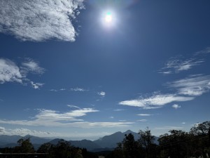 IMG_1162