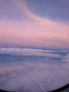 IMG_5286