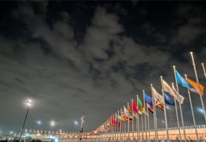 IMG_5534